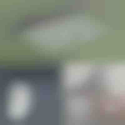 Ragasztós összecsukható szárítóállvány ruhákhoz | VENTIDRY