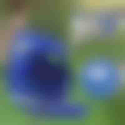 Állítható fényvisszaverő hám és póráz | LEASHNGO