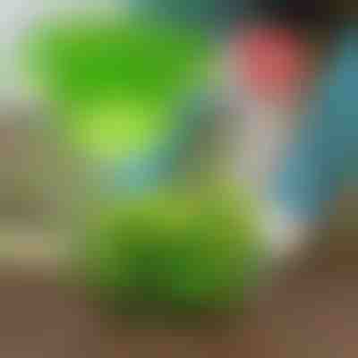 Tartsa távol a kártevőket a VEGISHIELD-el (10 db)