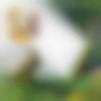 Többfejes locsolócső | SPRAYMASTER