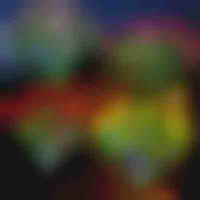 Napelemes viráglámpák | ROSILUME