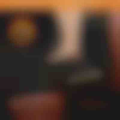 Kutya vízálló hátsó ülés védő | CARIPET